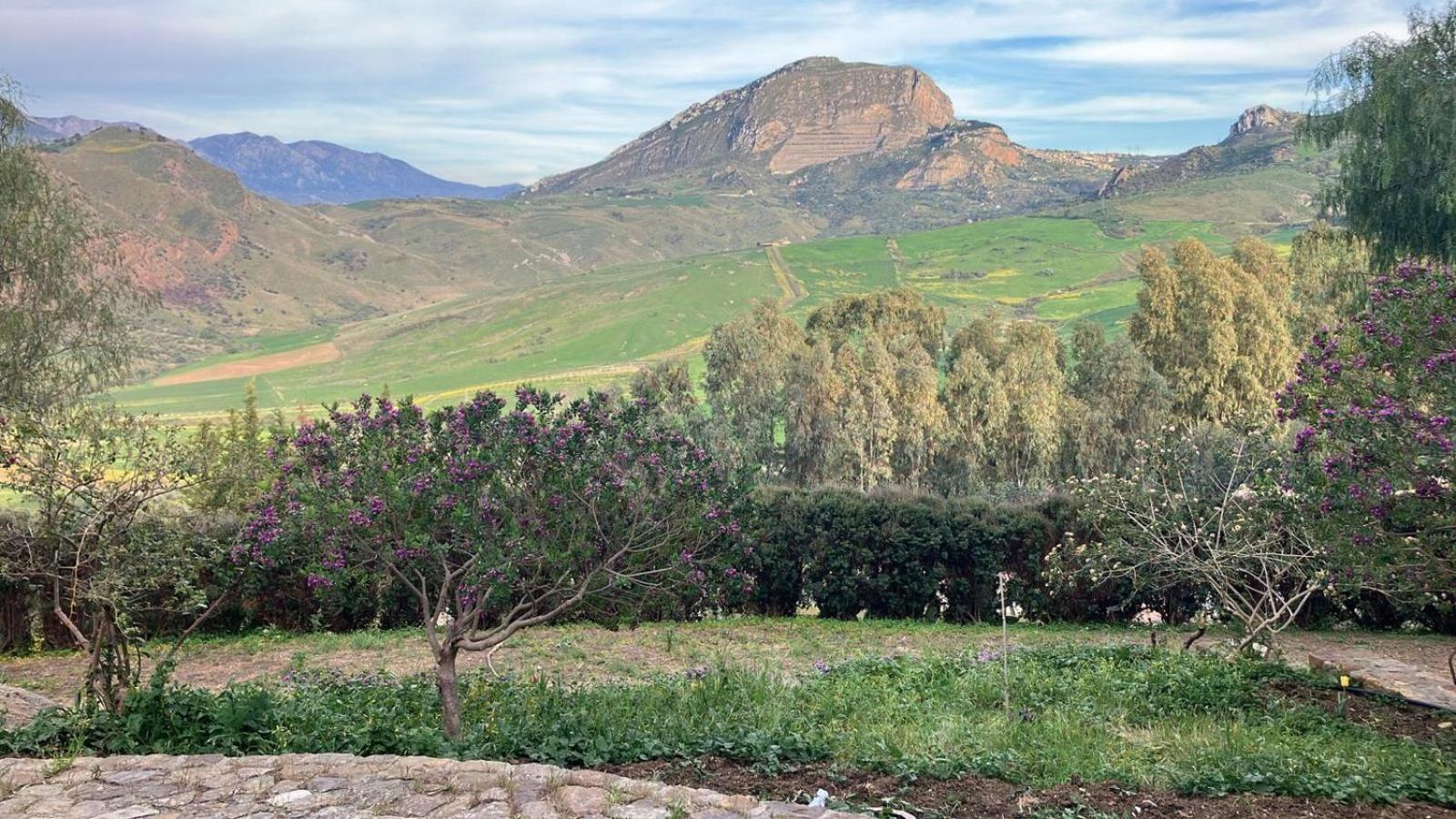 Le Case Di Cardellino - Agrispa Sclafani Exteriör bild